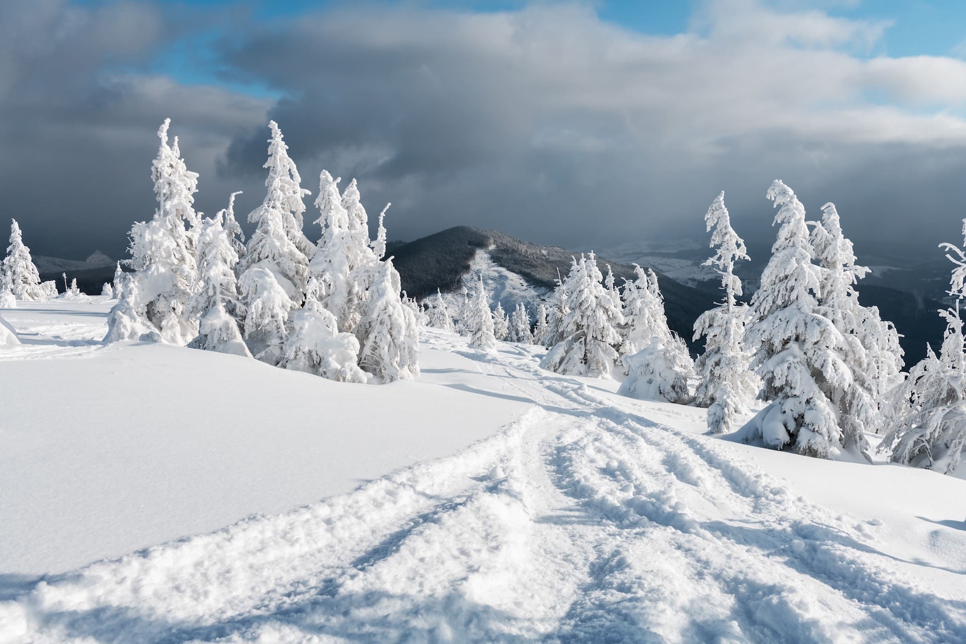 Protect Our Winters