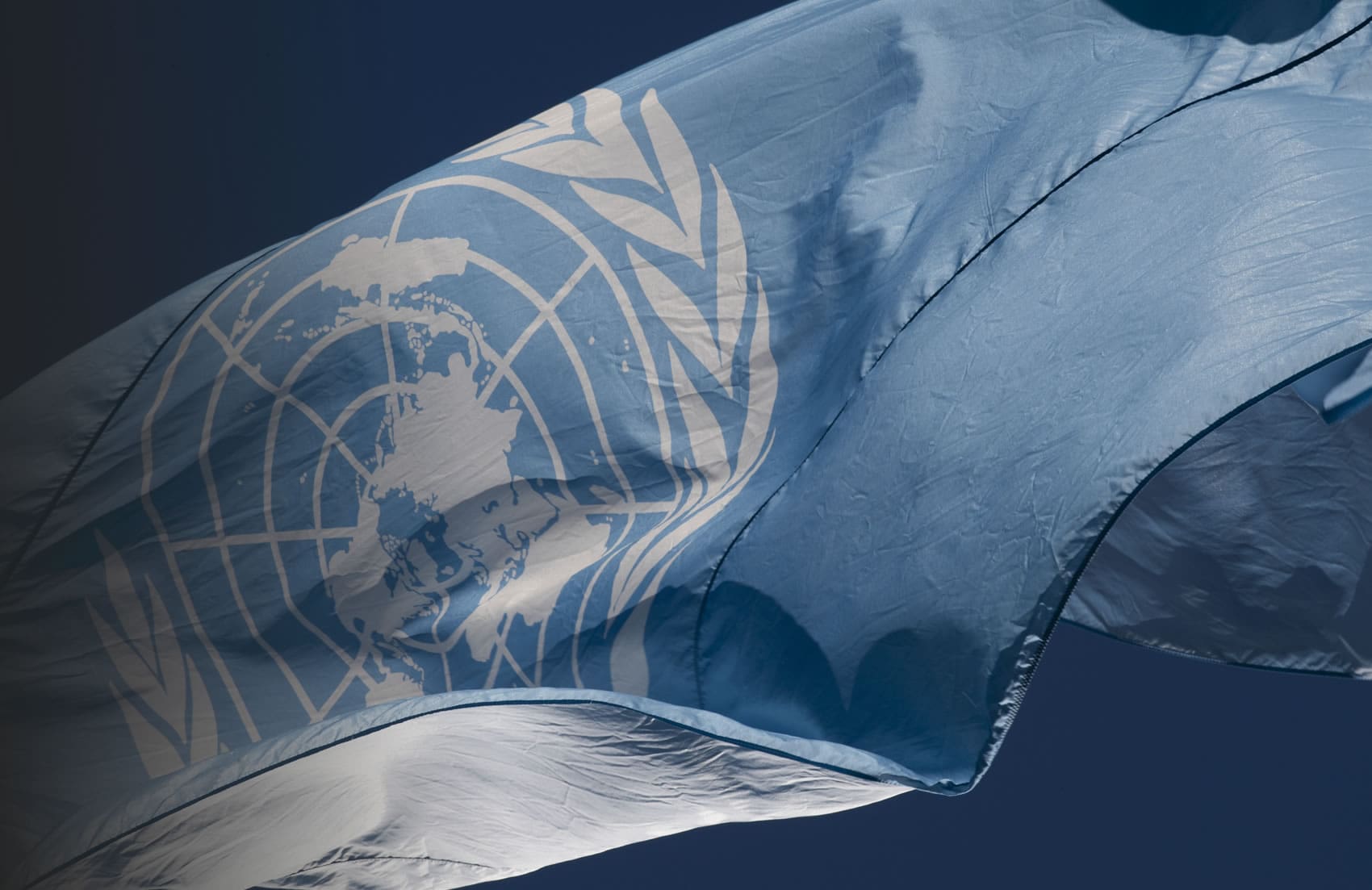 United Nations Foundation
